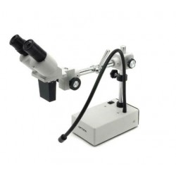 Stéréomicroscope trinoculaire NexiusZoom