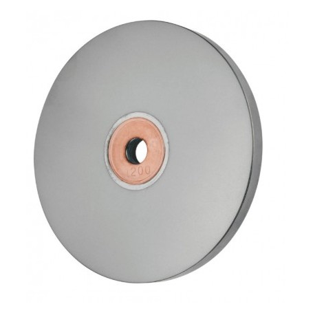 Disque diamantée grain 1200