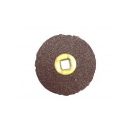 Disque Moore's 3/4, grain gros